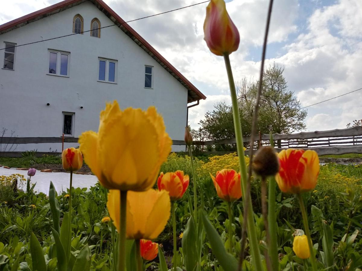 Zakatek Szczescia Eko Agroturystyka Kiwity Exterior photo